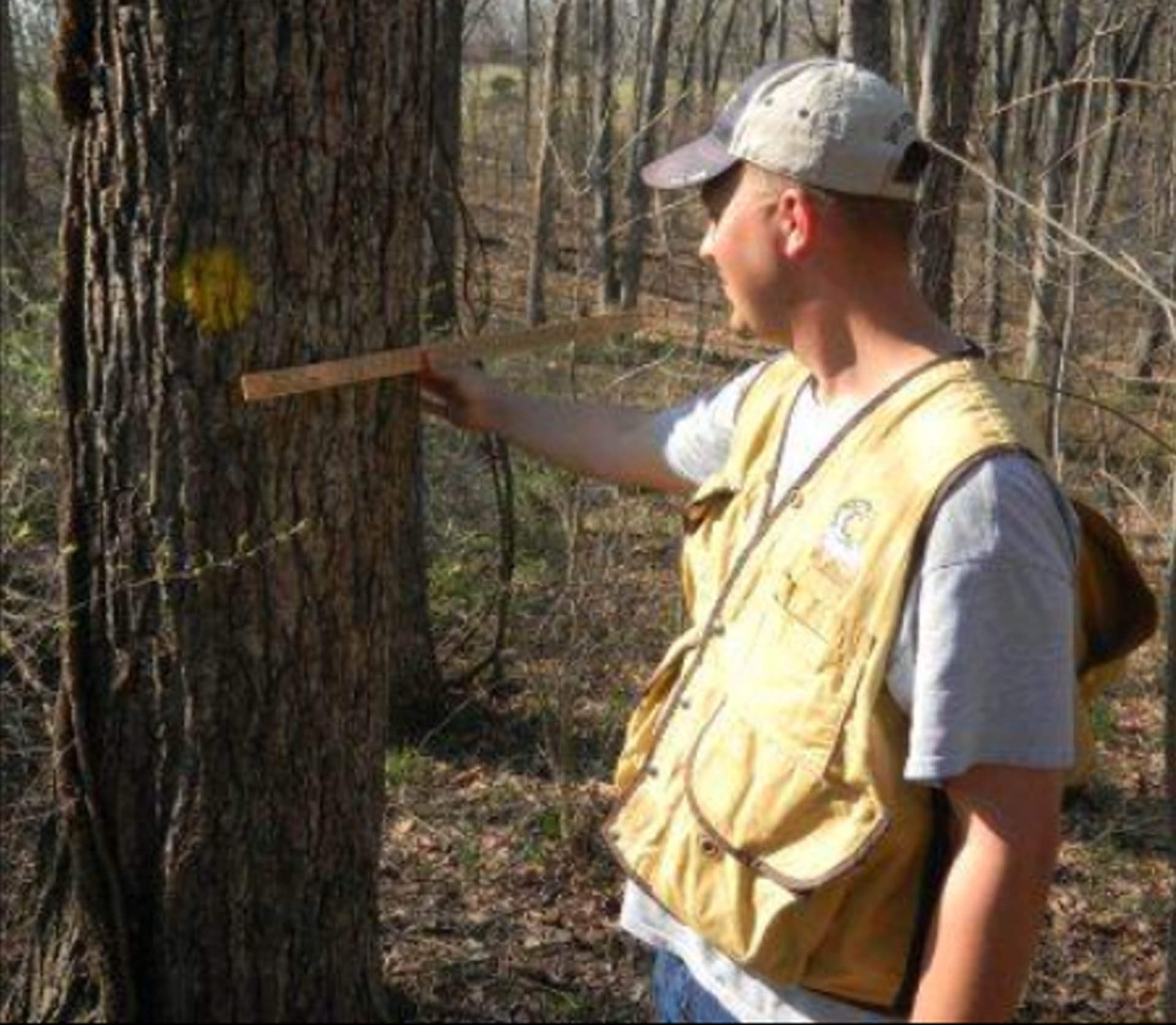 Heartland Forest Consulting LLC professional advice assistance on managing trees and forested resources in the Ashland MO and surrounding areas 14