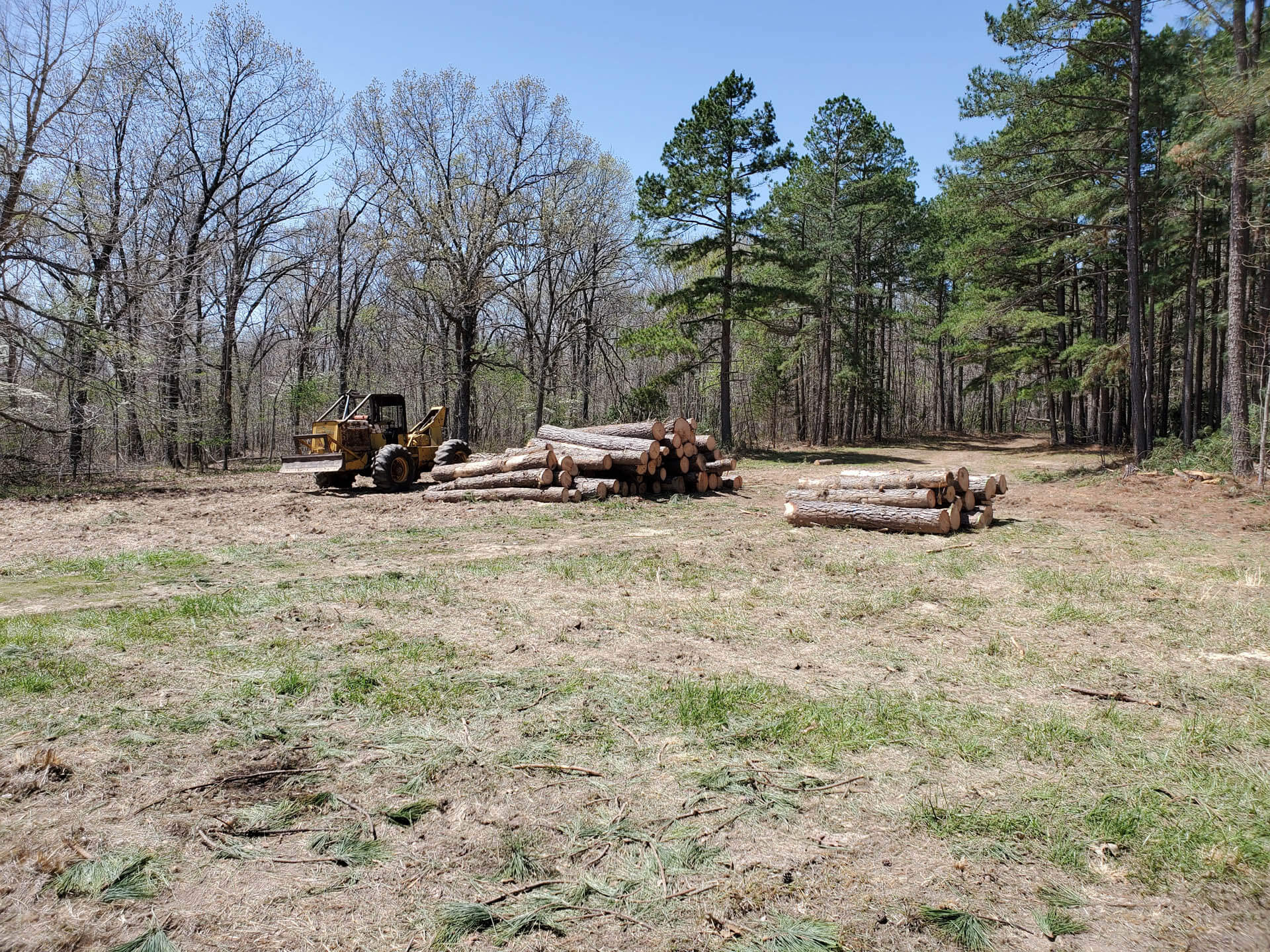 Heartland Forest Consulting LLC professional advice assistance on managing trees and forested resources in the Ashland MO and surrounding areas 18